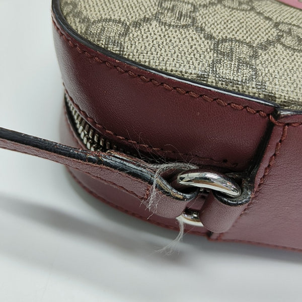 Monogram Coated Canvas Crossbody Bag Brown