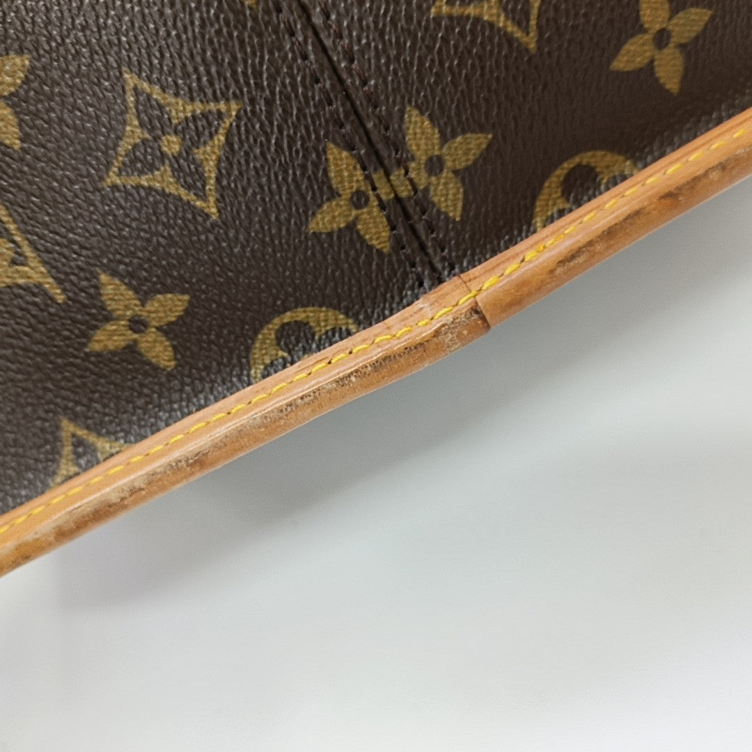 SOLOGNE PM Monogram Coated Canvas Brown