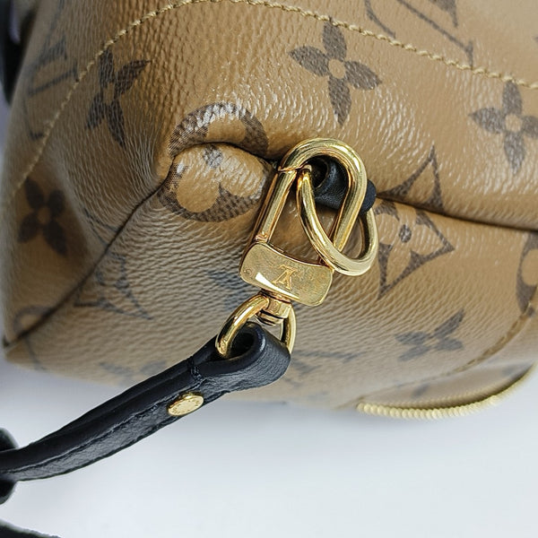 PALM SPRINGS Mini Monogram Coated Canvas Brown