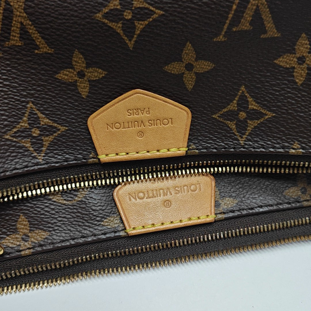 MULTI Monogram Coated Canvas Brown