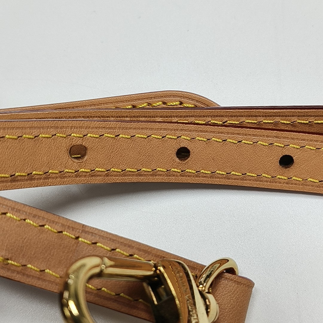 SIDE TRUNK PM Monogram Coated Canvas Brown