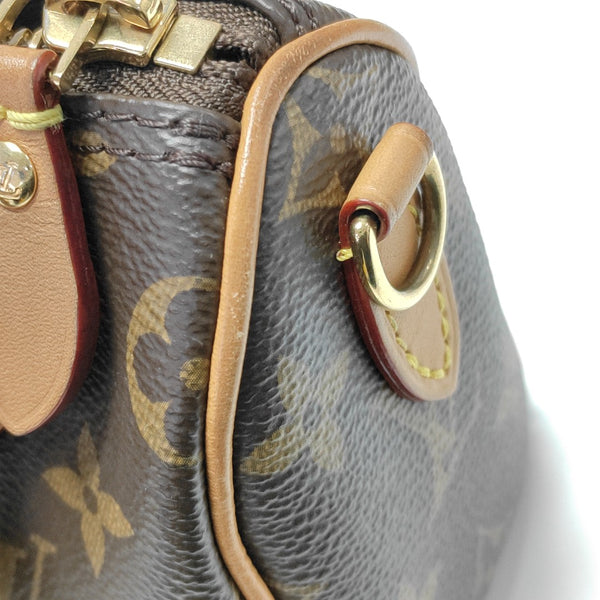 SPEEDY Nano Monogram Coated Canvas Brown