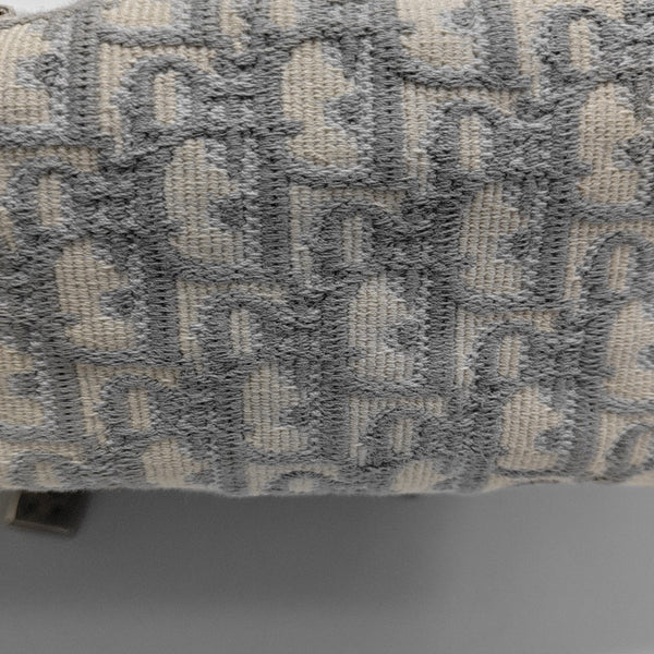 Diorcamp Large Oblique Canvas Gray