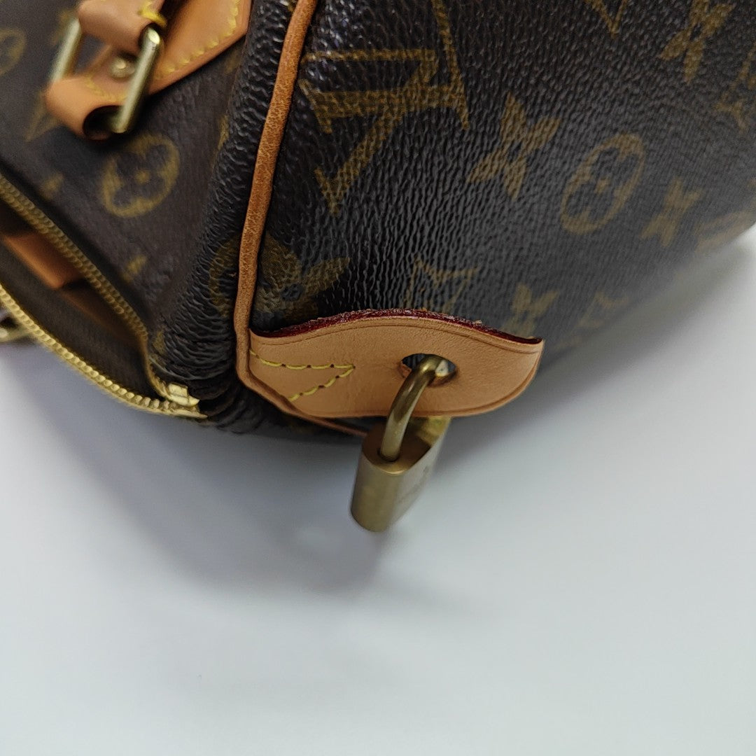 SPEEDY 30 Monogram Coated Canvas Brown
