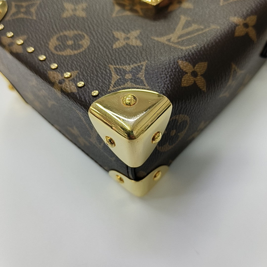 CAMERA BOX Monogram Coated Canvas Brown
