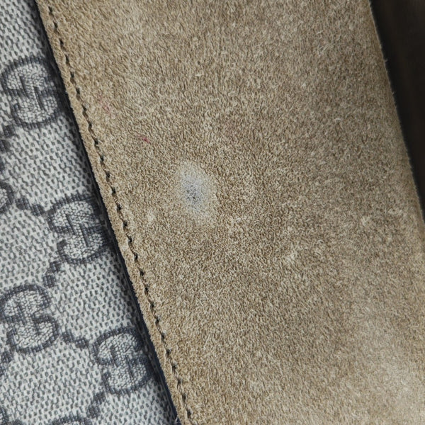 Dionysus Mini Monogram Coated Canvas Beige