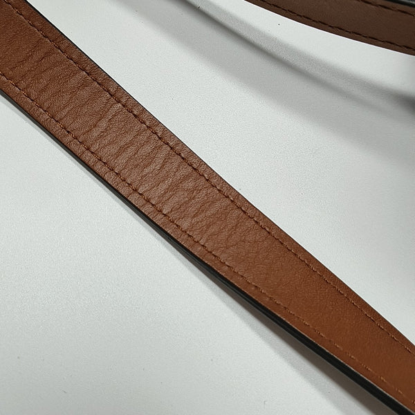 DAUPHINE MM Monogram Coated Canvas Brown