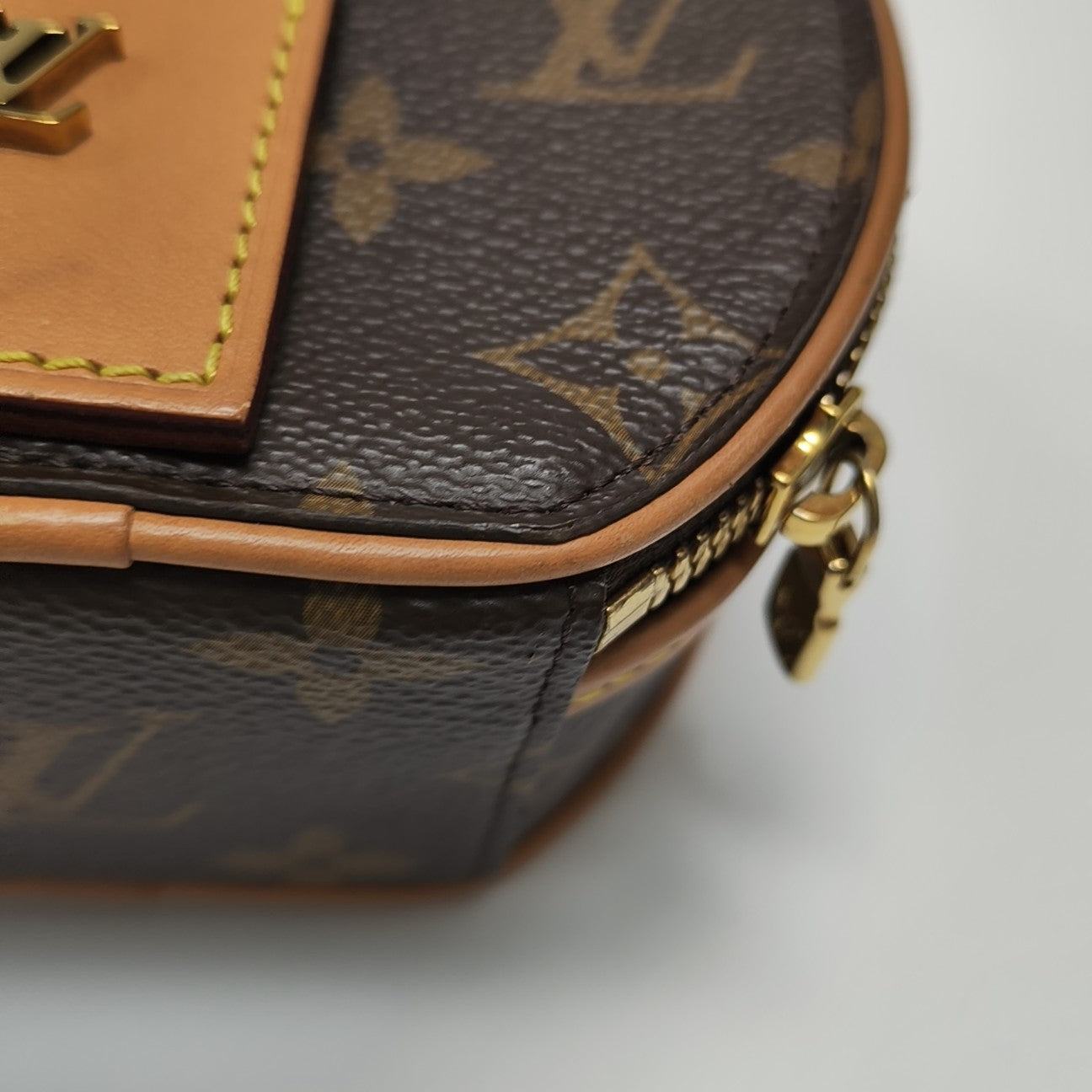 BOITE CHAPEAU Mini Monogram Coated Canvas Brown