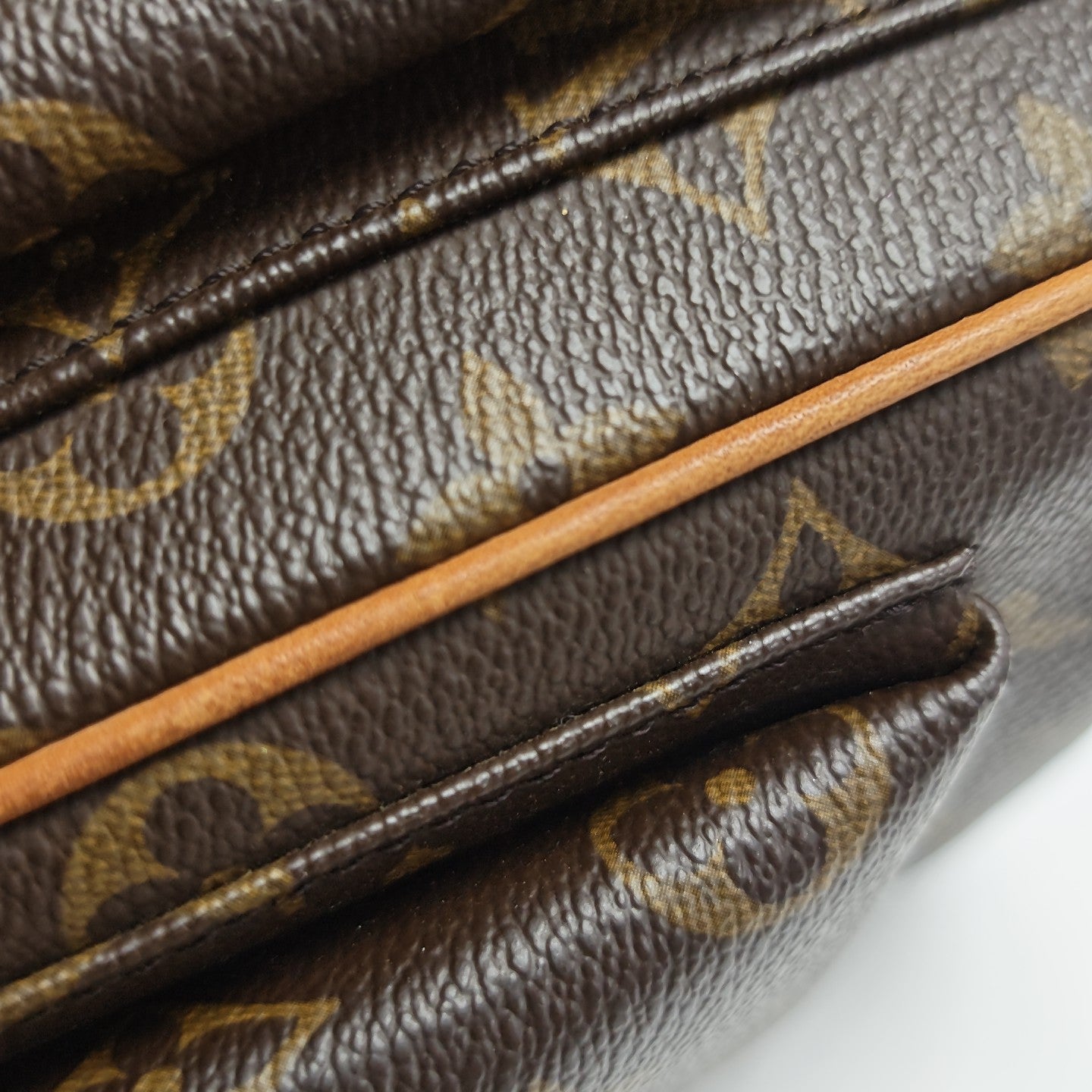 MULTIPLE Monogram Coated Canvas Brown