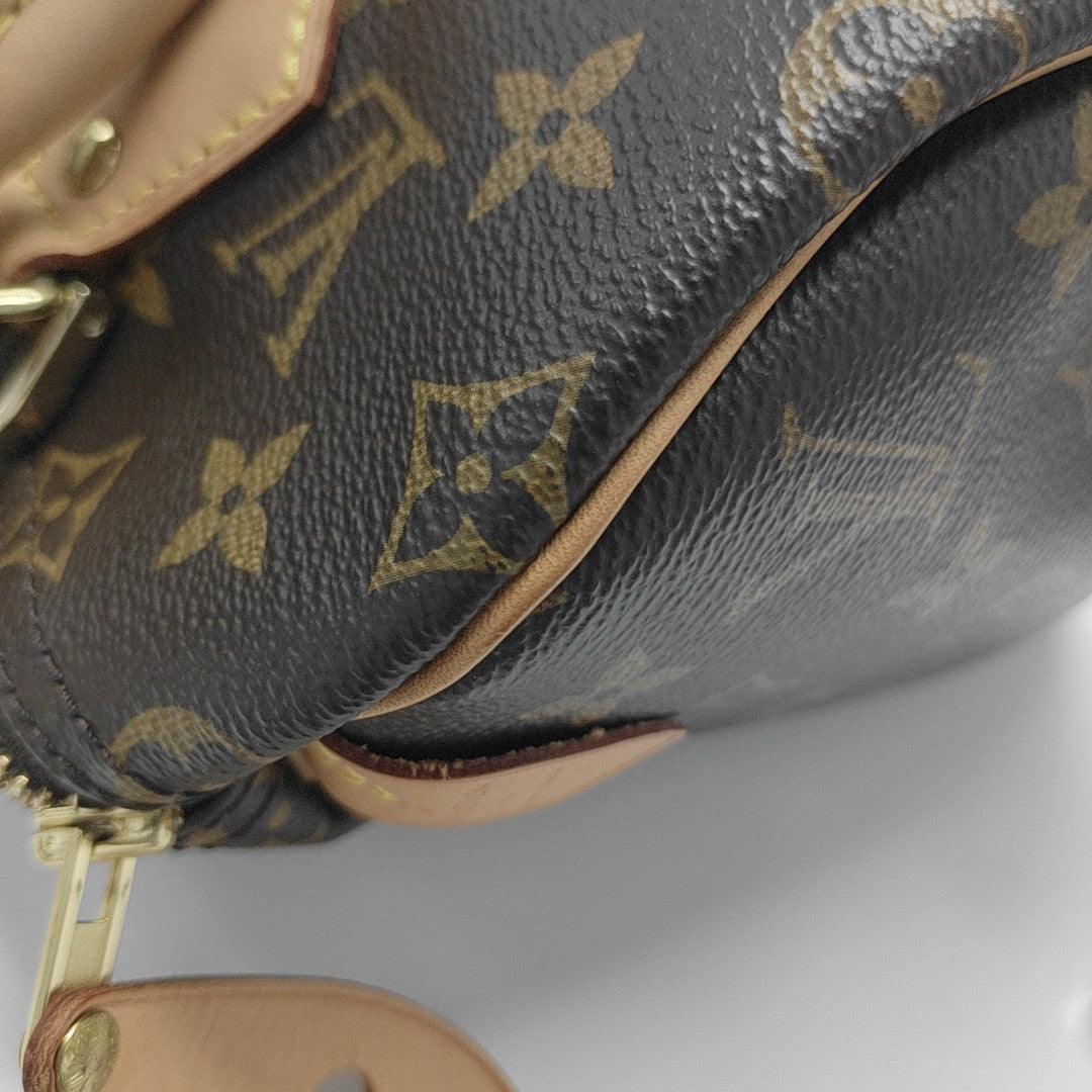 SPEEDY 25 Monogram Coated Canvas Brown