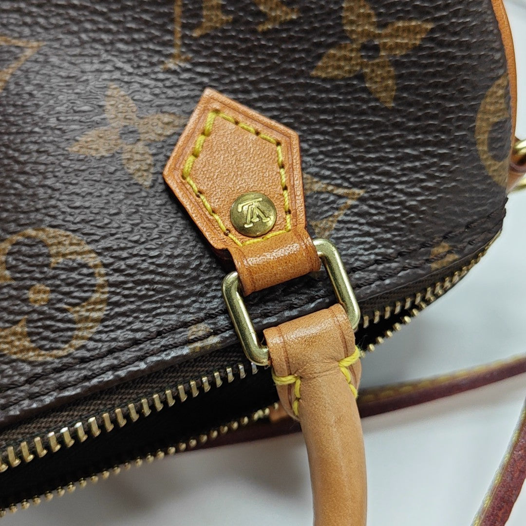 SPEEDY Nano Monogram Coated Canvas Brown