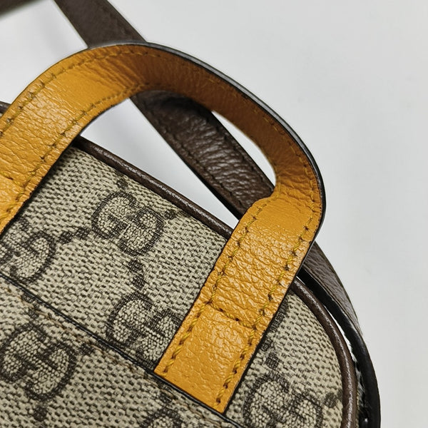 Neo Vintage Mini Monogram Coated Canvas Brown