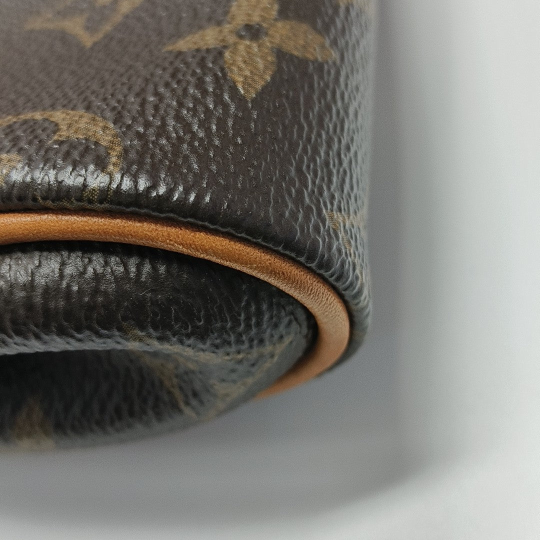 EVA Monogram Coated Canvas Brown