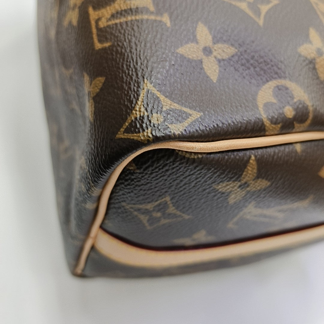 SPEEDY 25 Monogram Coated Canvas Brown