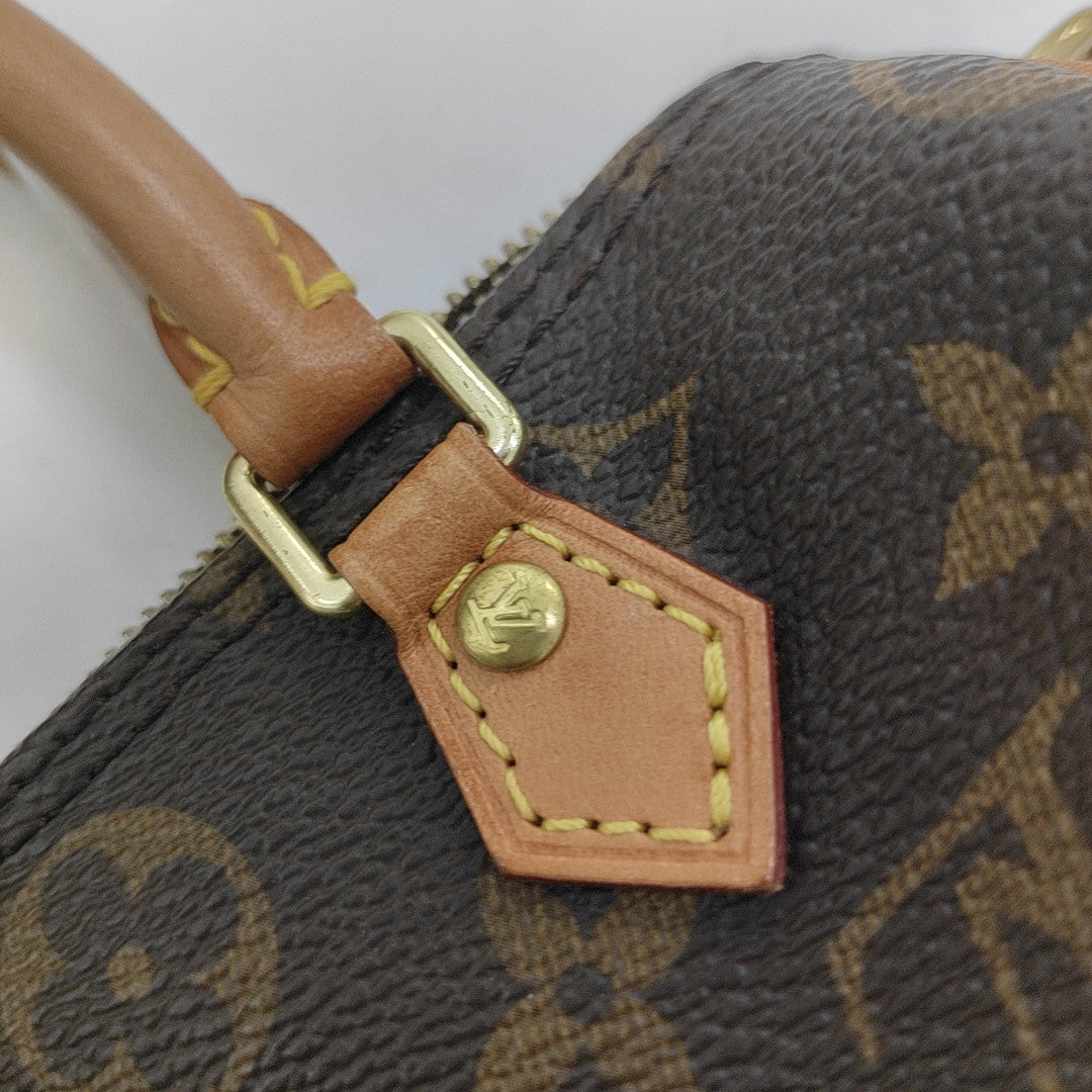 SPEEDY Nano Monogram Coated Canvas Brown