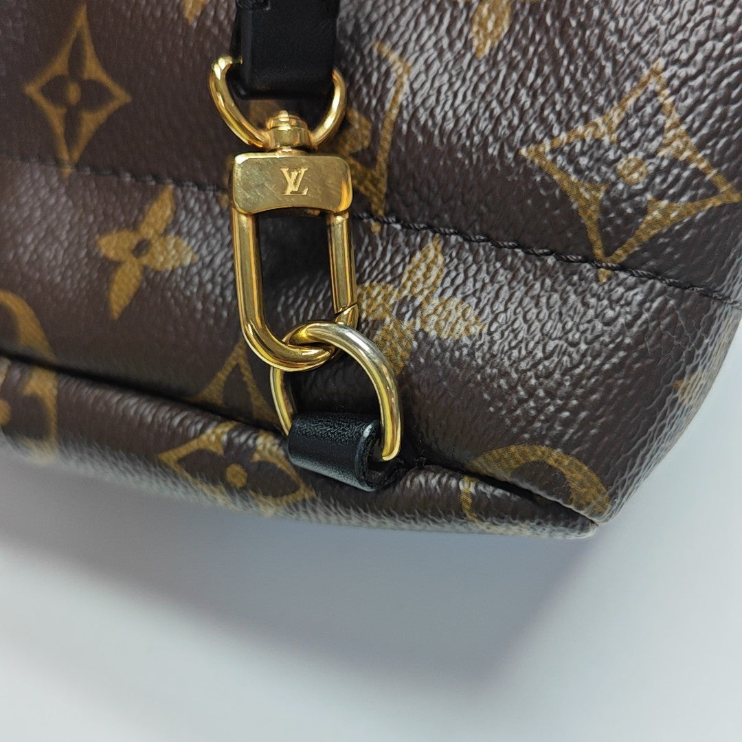 PALM SPRINGS Mini Monogram Coated Canvas Brown