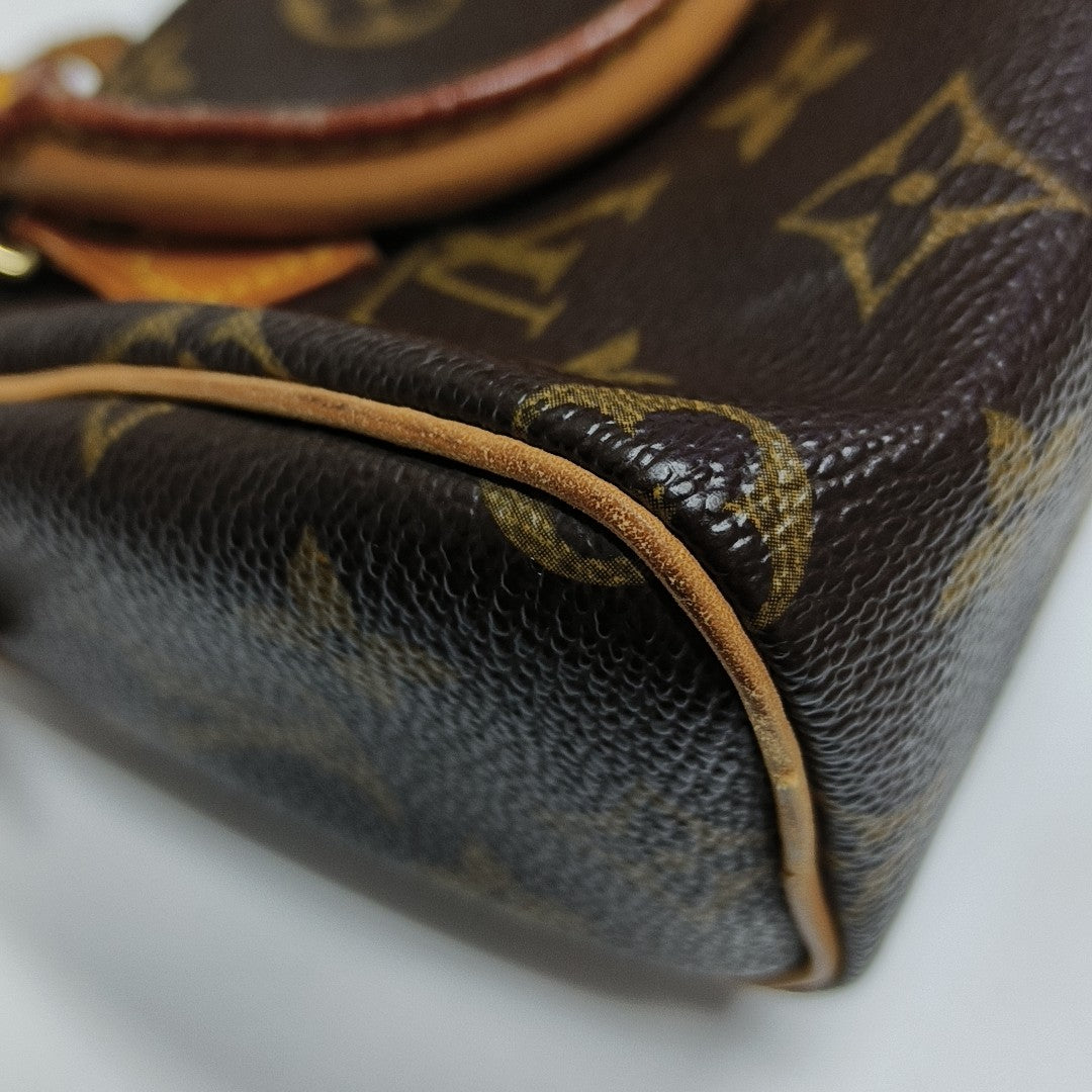 SPEEDY Nano Monogram Coated Canvas Brown