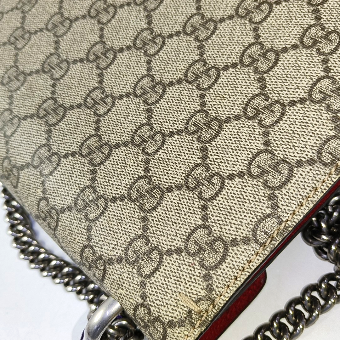 Authenticated pre-owned  Dionysus Small Monogram Coated Canvas Beige - Shoulder Bag at Looply