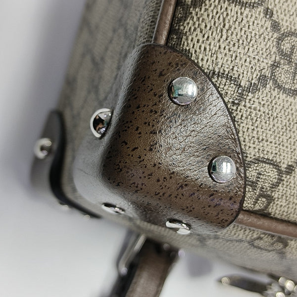 Trunk Monogram Coated Canvas Brown