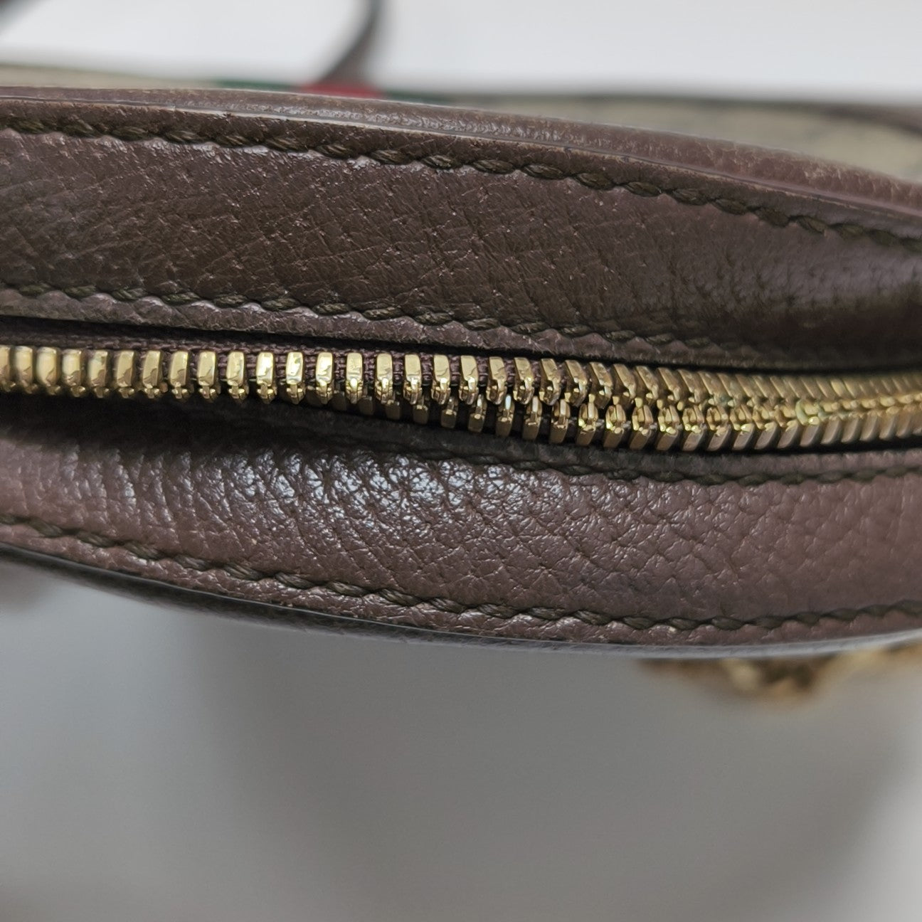 Ophidia Mini Monogram Coated Canvas Beige