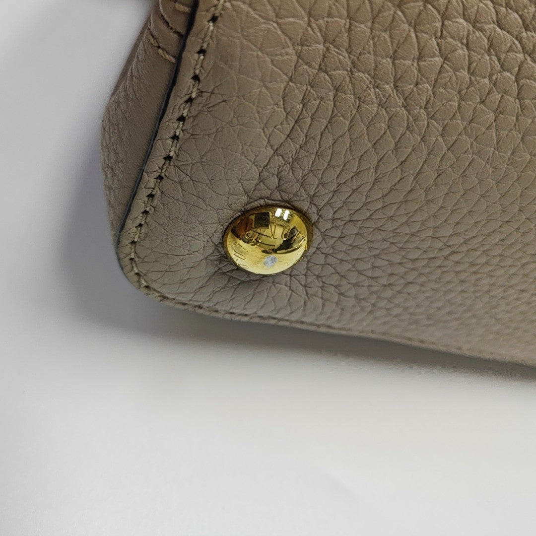 CAPUCINES MM Calfskin Gray
