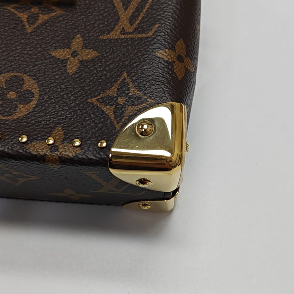 CAMERA BOX Monogram Coated Canvas Brown