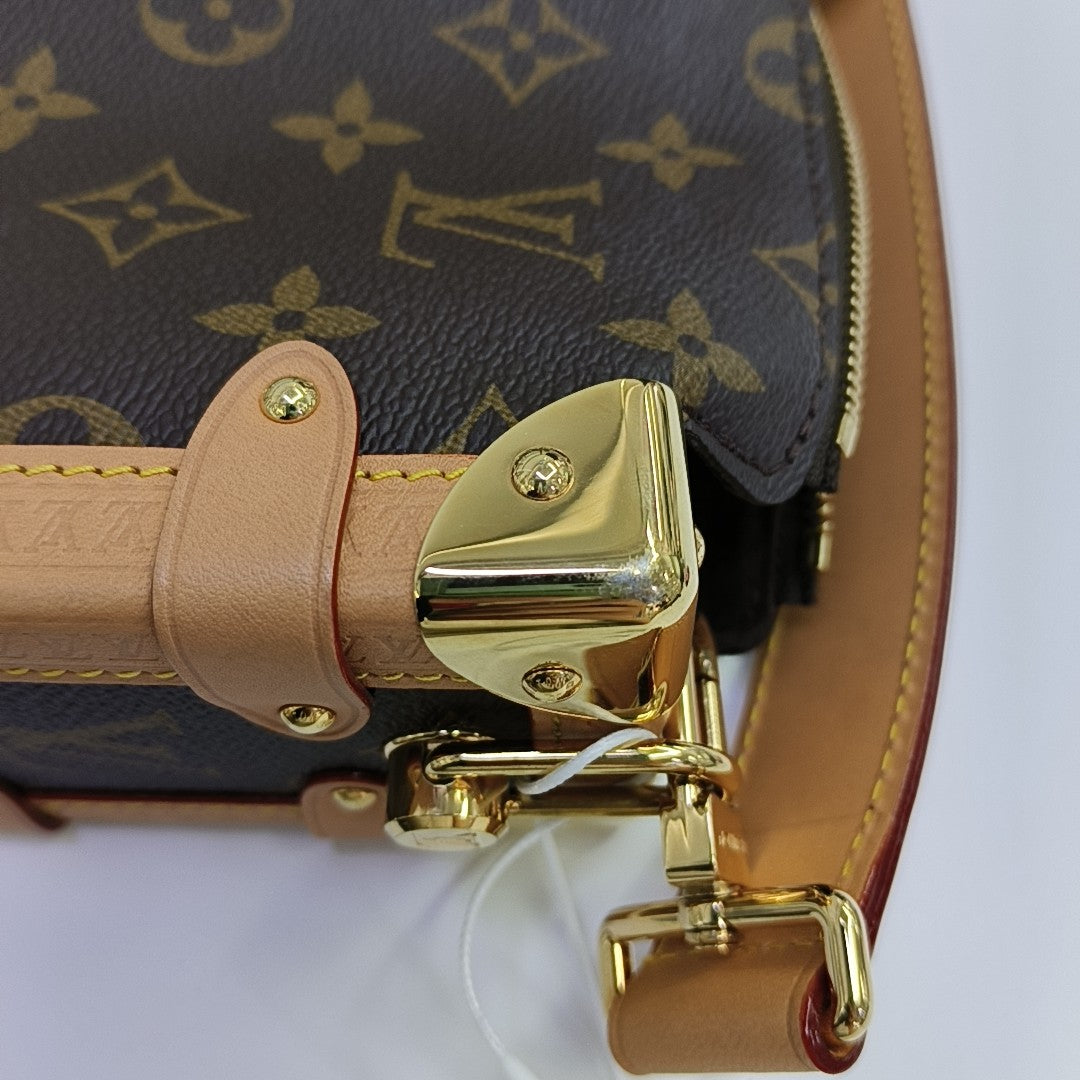 SIDE TRUNK PM Monogram Coated Canvas Brown