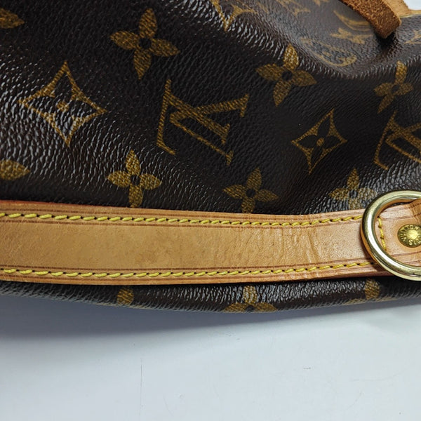NÉONOÉ PM Monogram Coated Canvas Brown