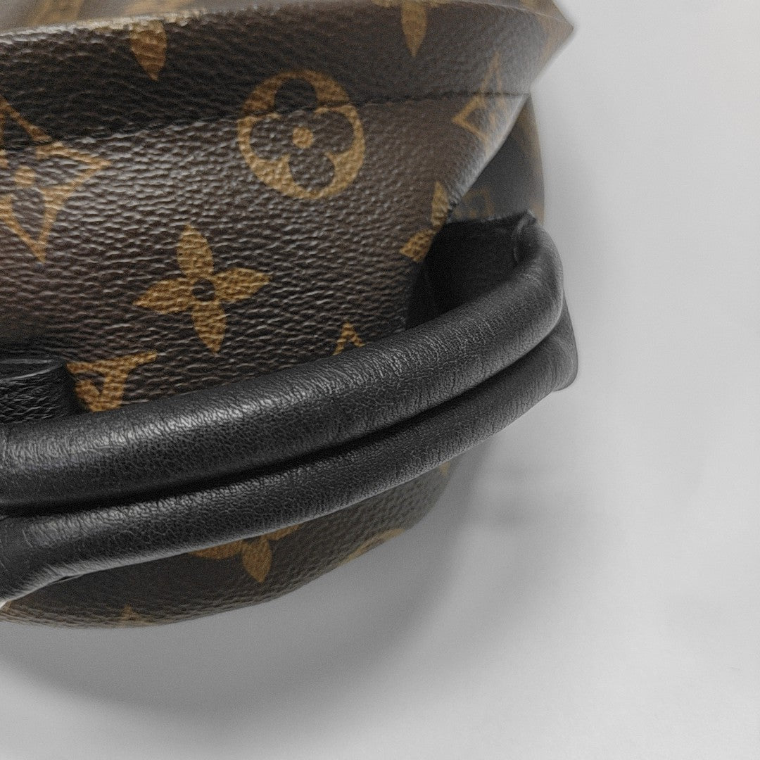 PALM SPRINGS PM Monogram Coated Canvas Brown