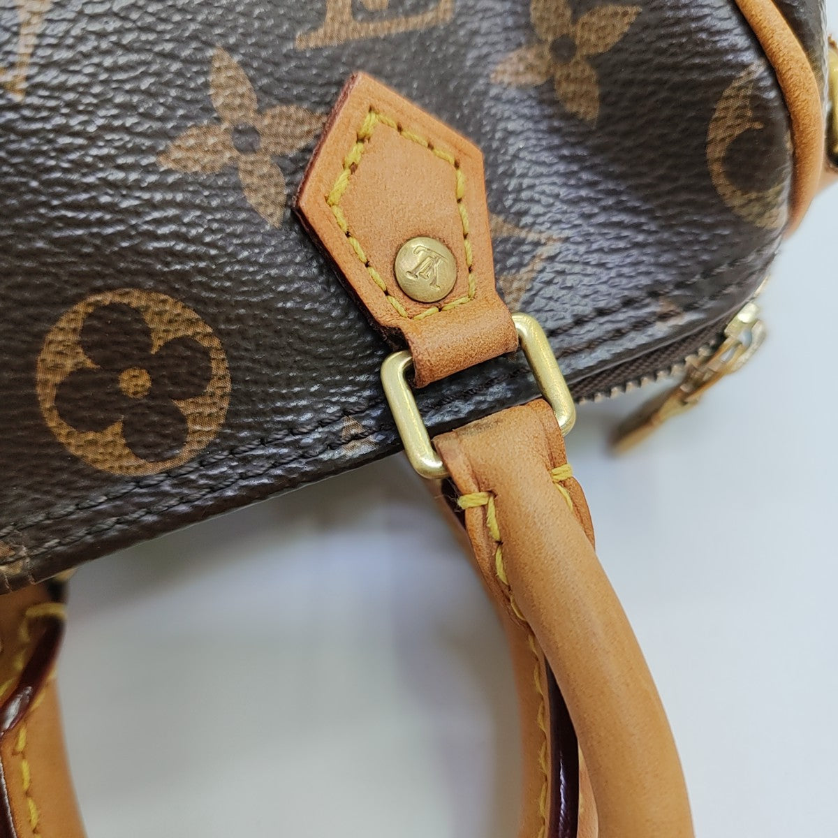 SPEEDY Nano Monogram Coated Canvas Brown