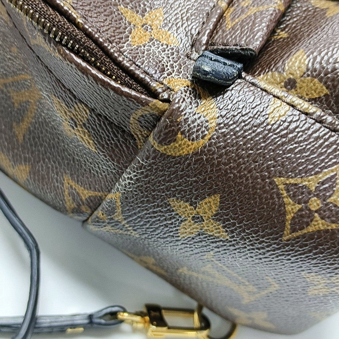 PALM SPRINGS Mini Monogram Coated Canvas Brown