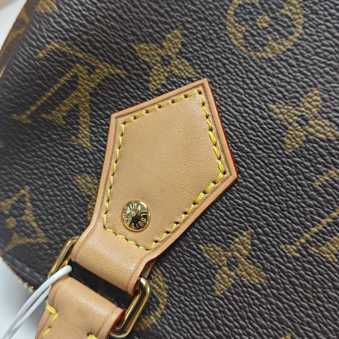 SPEEDY 20 Monogram Coated Canvas Brown