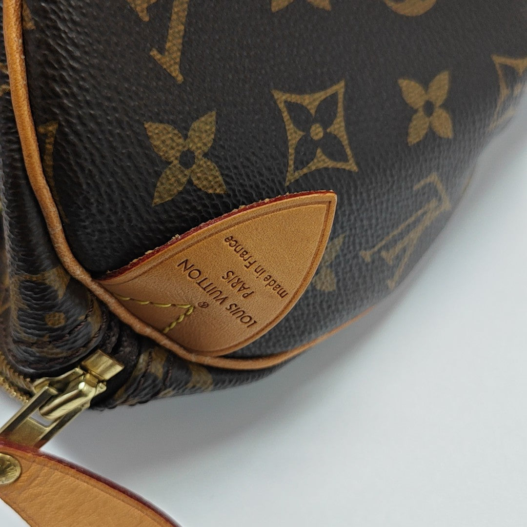 SPEEDY 25 Monogram Coated Canvas Brown