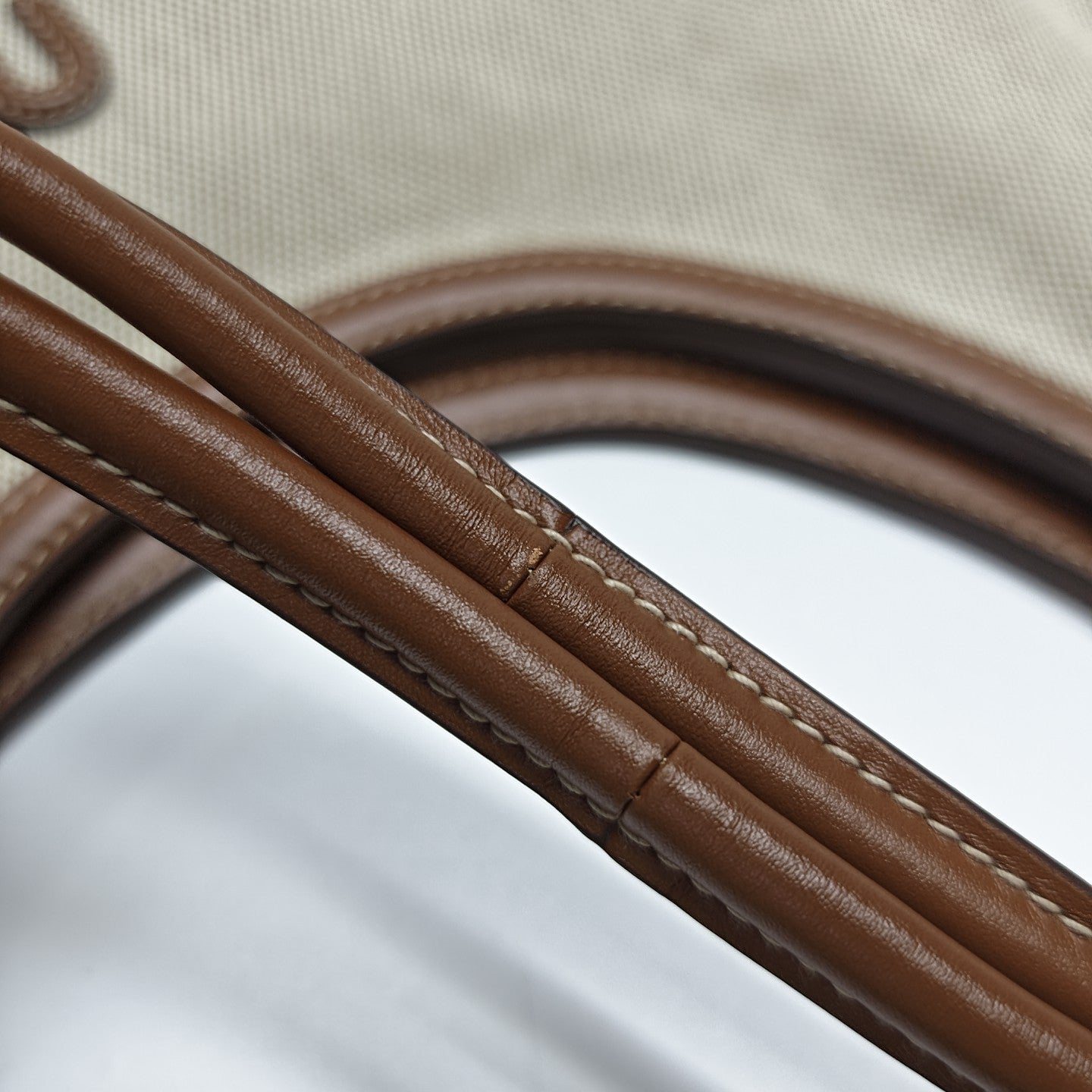 IVY Canvas Beige