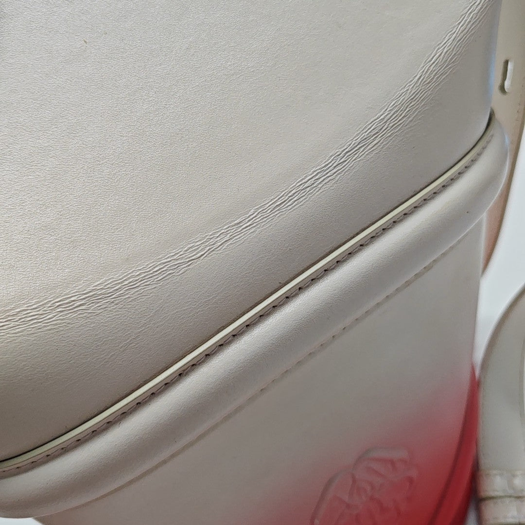 Calfskin Bucket Bag Multicolor