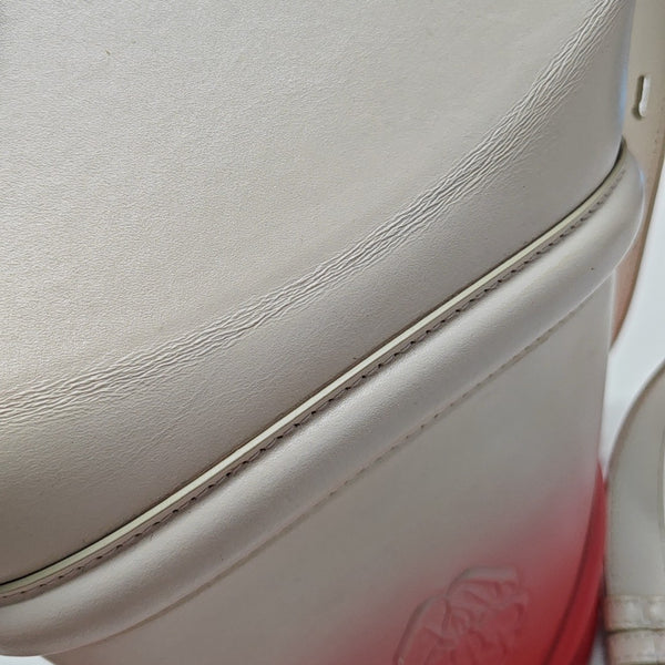 Calfskin Bucket Bag Multicolor