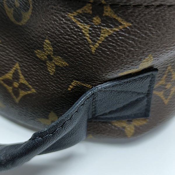 PALM SPRINGS PM Monogram Coated Canvas Brown