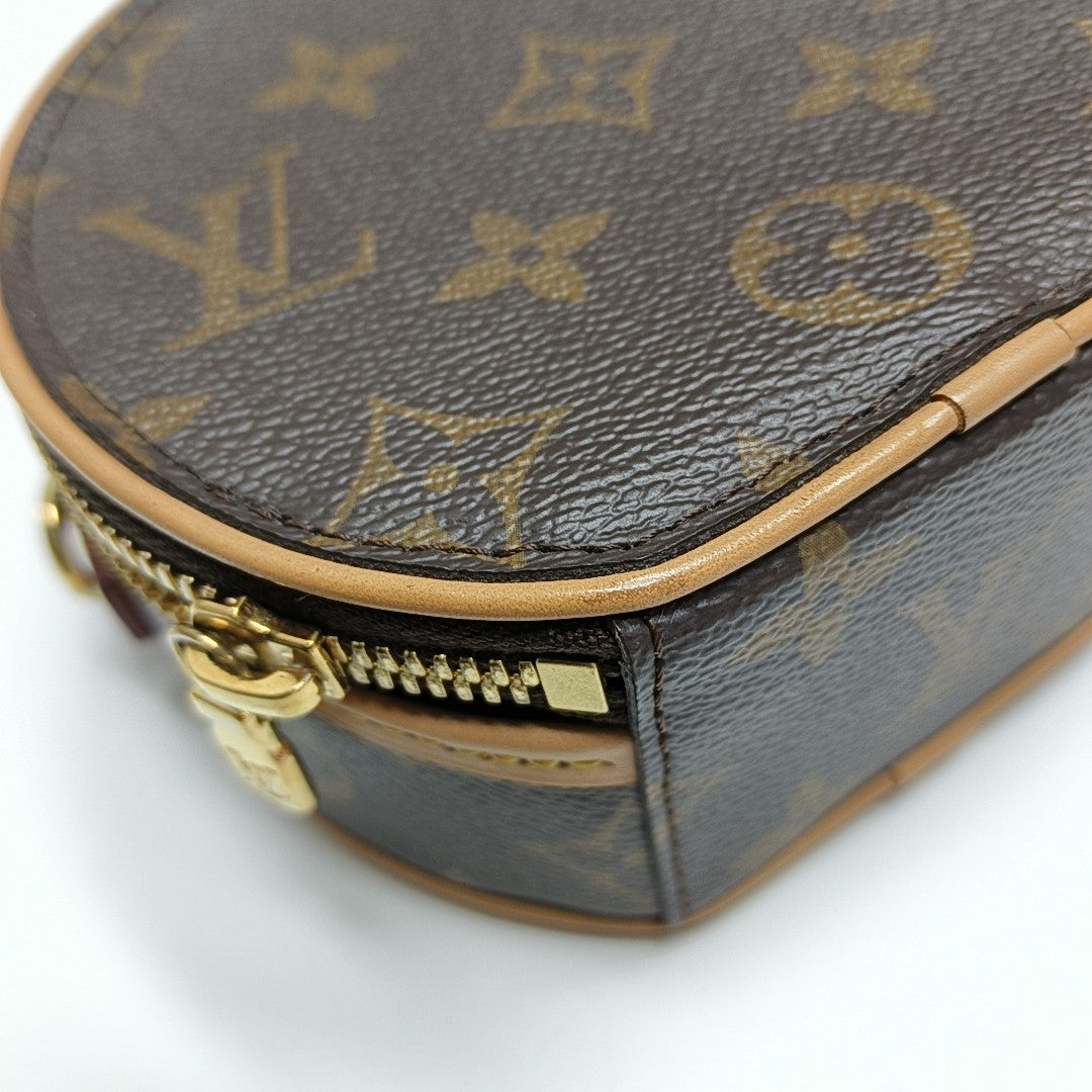 BOITE CHAPEAU Mini Monogram Coated Canvas Brown