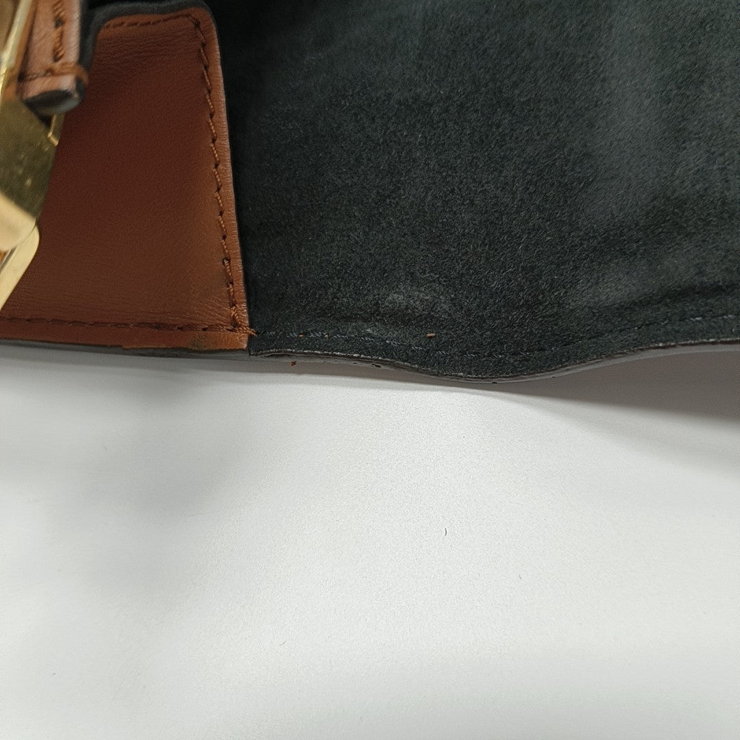DAUPHINE MM Monogram Coated Canvas Brown