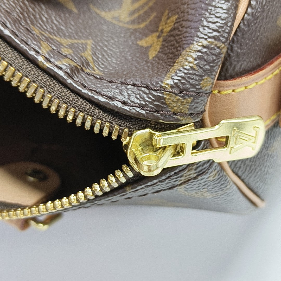 SPEEDY 25 Monogram Coated Canvas Brown