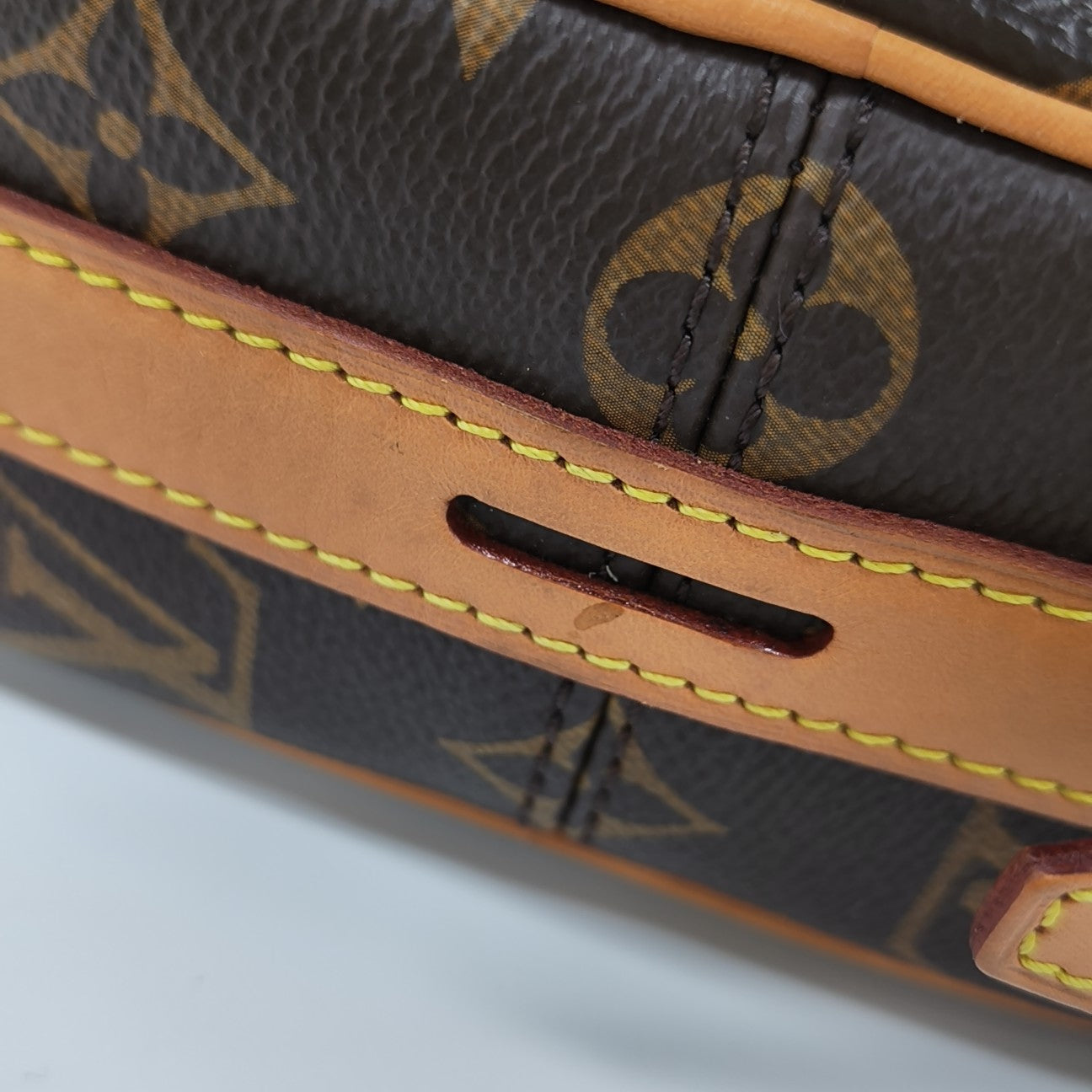 BOITE CHAPEAU MM Monogram Coated Canvas Brown