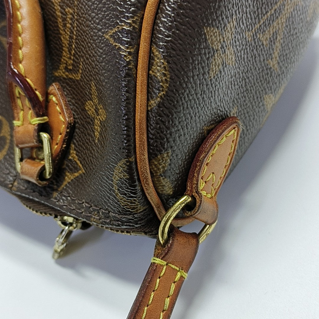 SPEEDY Nano Monogram Coated Canvas Brown