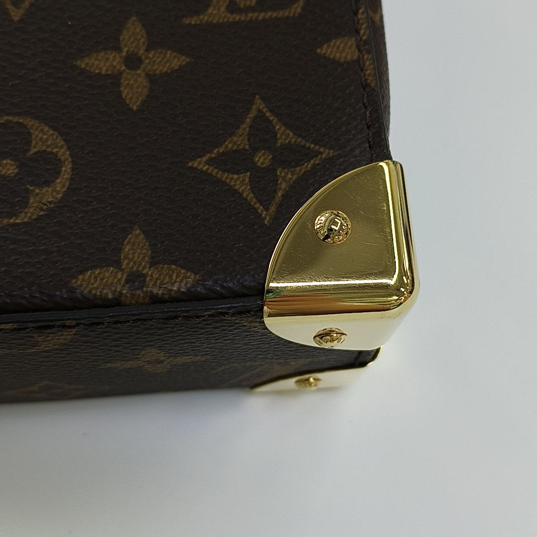 CAMERA BOX Monogram Coated Canvas Brown