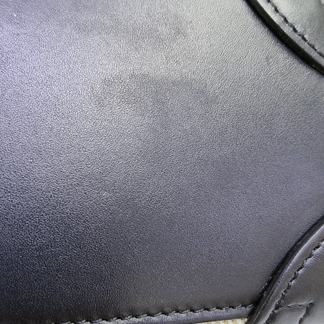 LUGGAGE Nano Canvas Beige