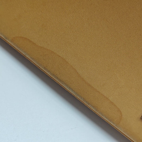 ALMA BB Monogram Coated Canvas Brown