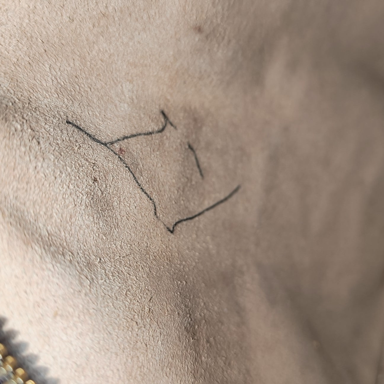 Ophidia Mini Monogram Coated Canvas Beige