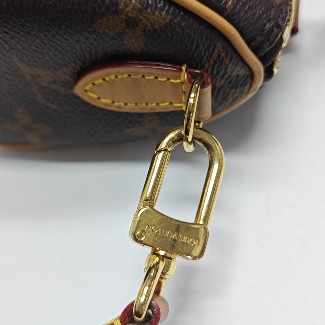 SPEEDY Nano Monogram Coated Canvas Brown