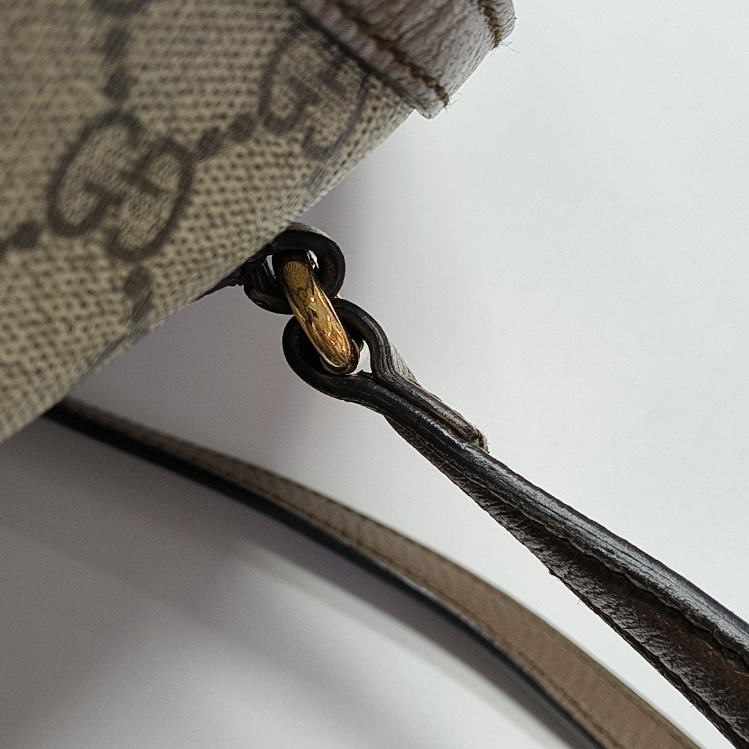 Monogram Coated Canvas Tote Bag Brown