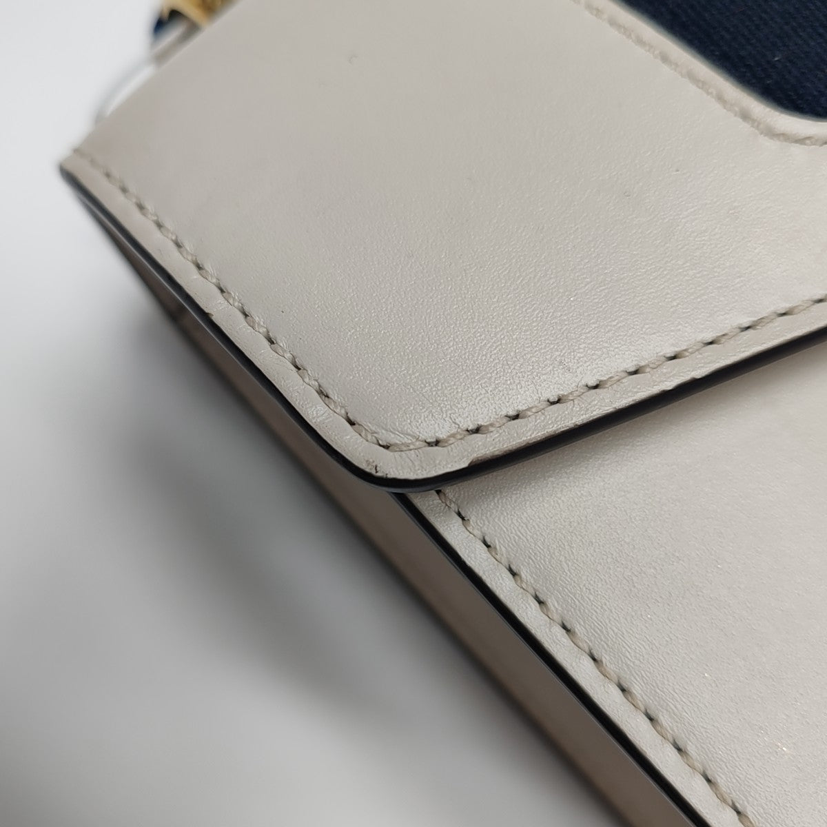 Sylvie Mini Calfskin White