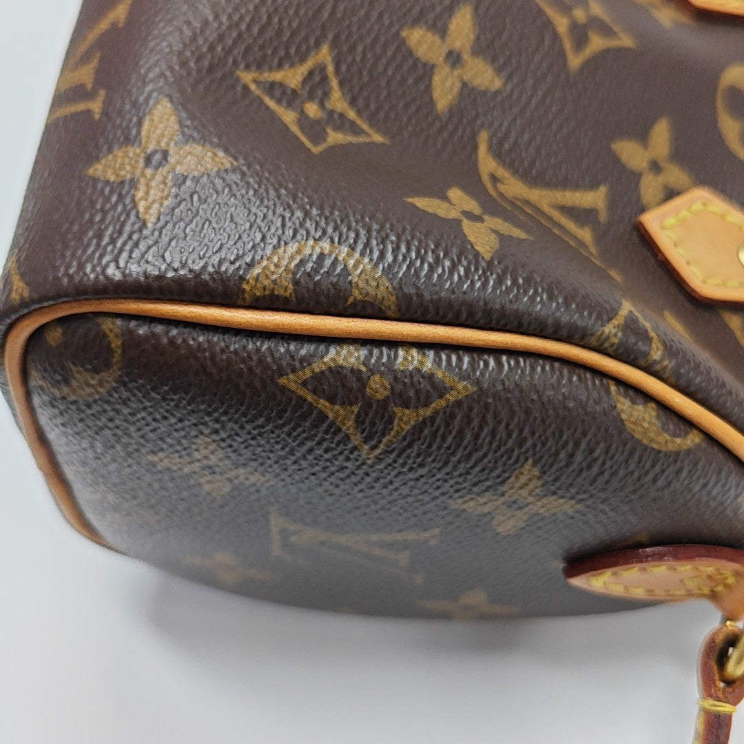 SPEEDY Nano Monogram Coated Canvas Brown